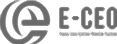 E-CEO